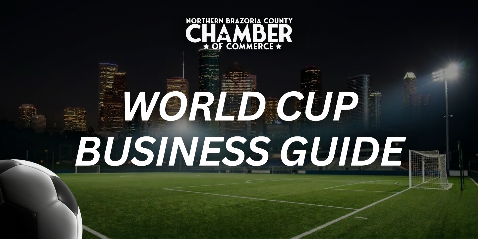 HoustonWorldCupBusinessGuide